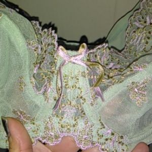 Size 34DD Panache NWT